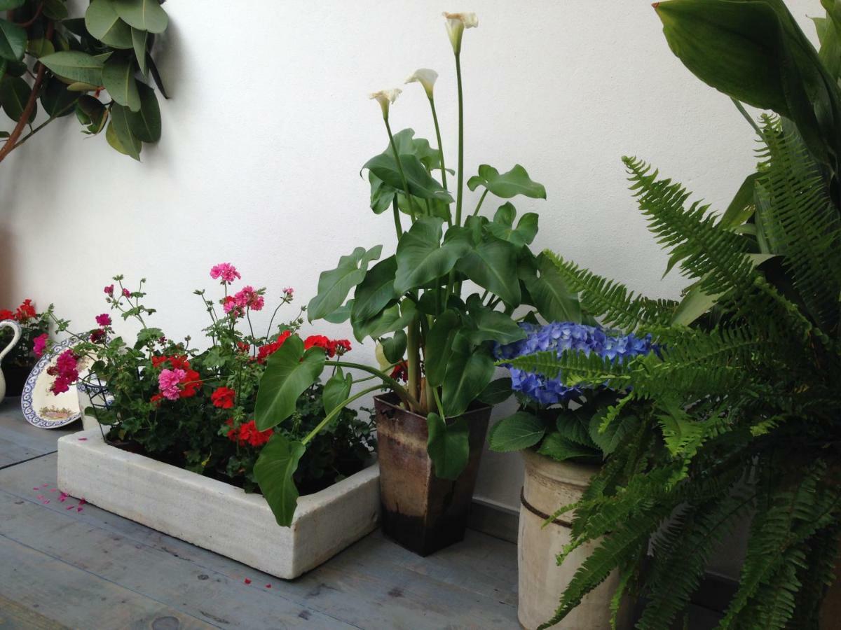 Patio San Lorenzo Κόρδοβα Εξωτερικό φωτογραφία
