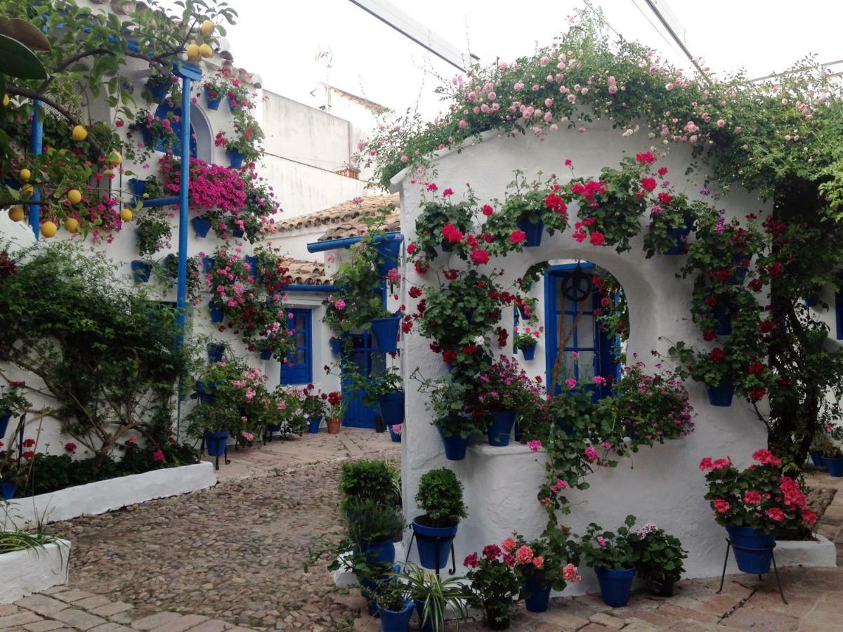 Patio San Lorenzo Κόρδοβα Εξωτερικό φωτογραφία