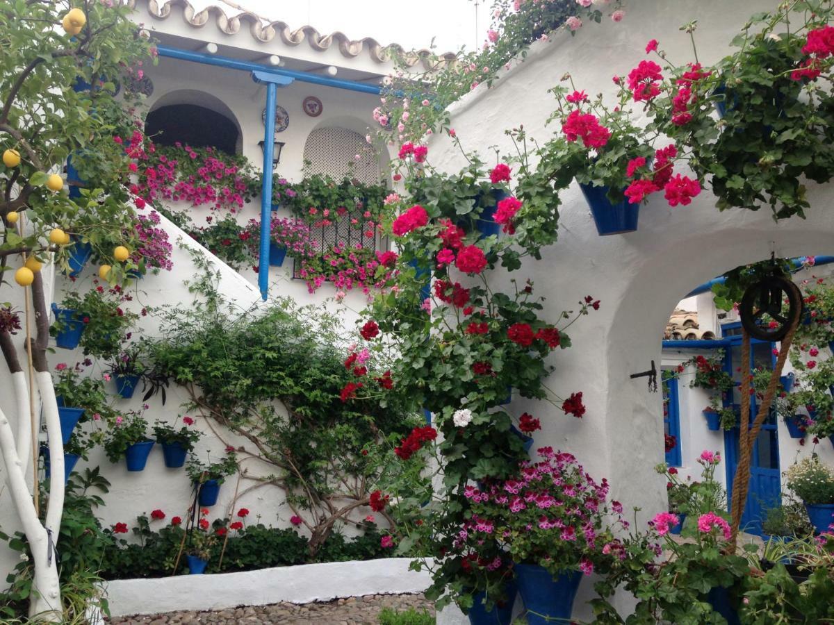 Patio San Lorenzo Κόρδοβα Εξωτερικό φωτογραφία