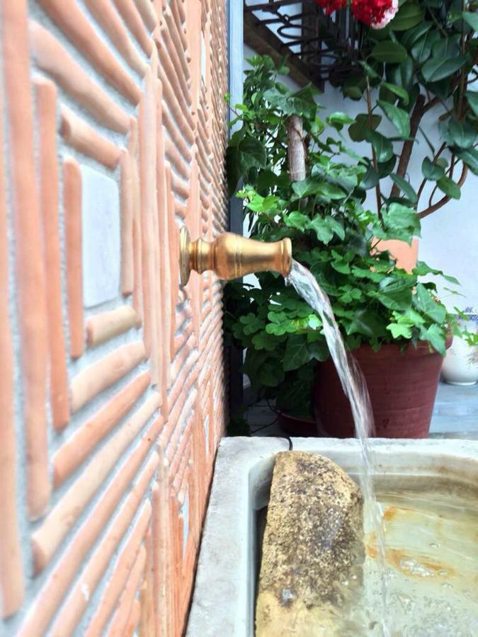 Patio San Lorenzo Κόρδοβα Εξωτερικό φωτογραφία